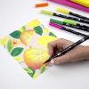 Tombow 56170 Dual Brush Pen Art Markers, Portrait, 10-Pack. Blendable, Brush and Fine Tip Markers(Citrus)