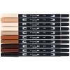 Tombow 56170 Dual Brush Pen Art Markers, Portrait, 10-Pack. Blendable, Brush and Fine Tip Markers(Portrait)