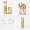 Tombow 51533 Irojiten Colored Pencil Desk Cup 18-Piece Set, Cottage