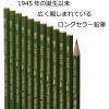 Tombow 8900 Drawing Pencil, HB,Graphite 12-Pack(2B)