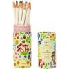 Tombow 51533 Irojiten Colored Pencil Desk Cup 18-Piece Set, Cottage