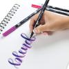 Tombow 56191 Advanced Lettering Set. Includes Need to Enhance Your Hand Lettering(Advanced Lettering Set)