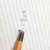 Tombow Pencil with Eraser HB 2558 Dozen 2558-HB(1 Count (Pack of 1))