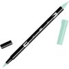 Tombow Dual Brush Pen, ABT, N65 (AB-TN65)(243- Mint)
